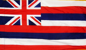 Hawaii - State Flag with Pole Sleeve - For Indoor Use Hawaii - State Flag with Pole Sleeve - For Indoor Use