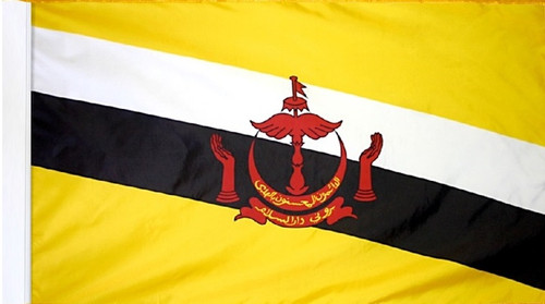 Brunei - Flag with Pole Sleeve