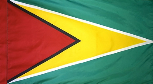 Guyana - Flag with Pole Sleeve