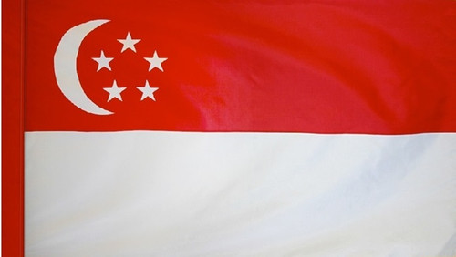 Singapore - Flag with Pole Sleeve