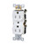 Standard Duplex Receptacle 15A-125V