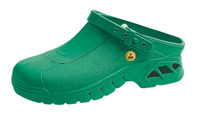 Cleanroom ESD Shoes, Autoclavable, Unisex, Green by Cleanroom World