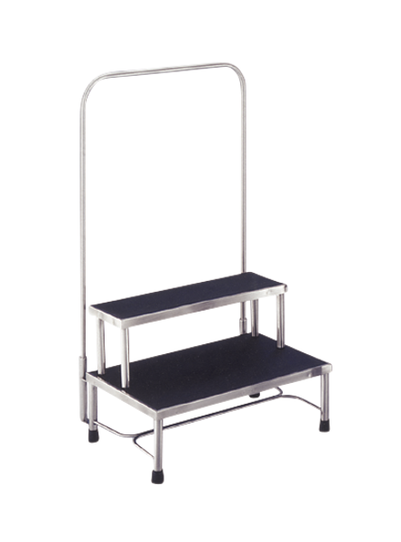 Step Stools; Stainless Steel, 2 Steps, Hand Rail, 24"W x 16"D x 16"H By Cleanroom World