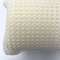 Cleanroom Sponges, PolyMesh by Cleanroom World