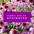 Echinacea Herbal Add On 