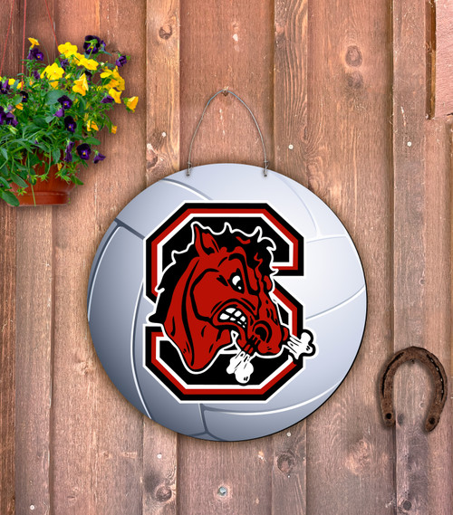 Outdoor Metal Art Customizable Volleyball