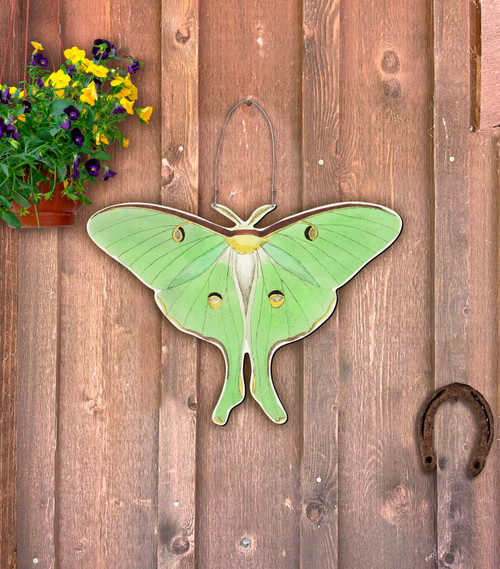 Outdoor Metal Art Luna Moth