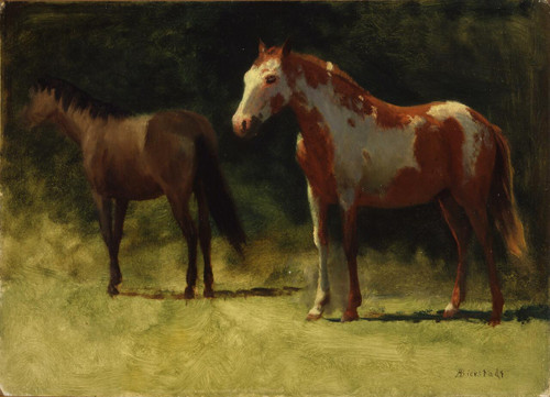 Two Horses - Albert Bierstadt