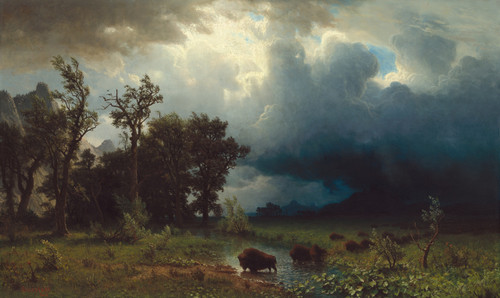 Buffalo Trail, the Impending Storm - Albert Bierstadt