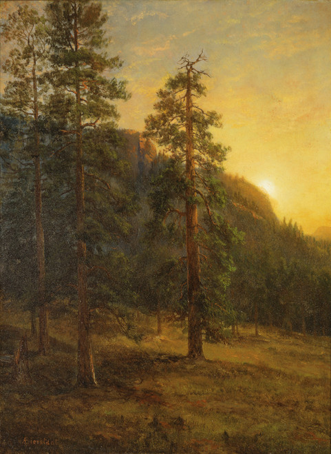 California Redwoods - Albert Bierstadt