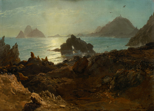 Farallon Islands - Albert Bierstadt