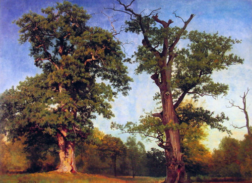 Pioneers of the Woods - Albert Bierstadt