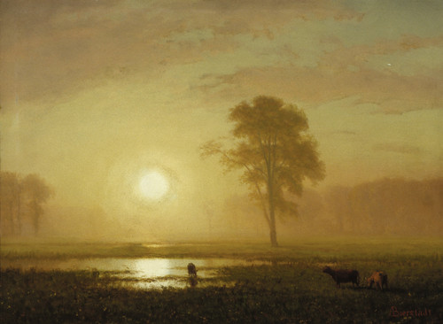 Sunset on the Plains - Albert Bierstadt