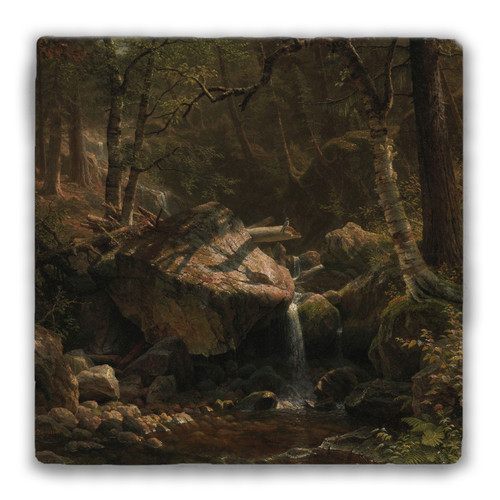 "Mountain Brook" Tumbled Stone Coaster