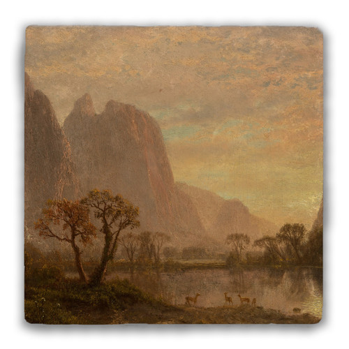 "Sentinel Falls and Cathedral Peaks in Yosemite Valley" Tumbled Stone Coaster