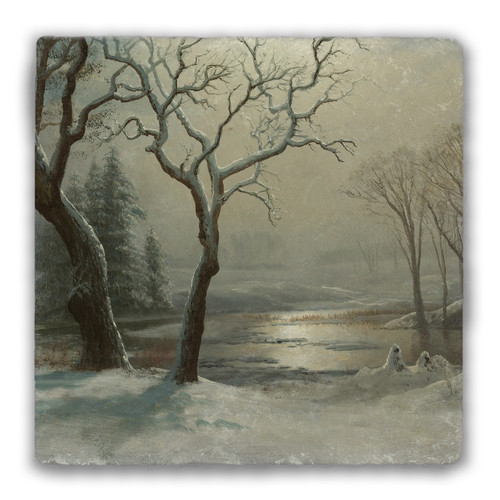 "Winter in Yosemite" Tumbled Stone Coaster