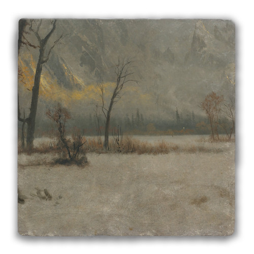 "Winter Landscape" Tumbled Stone Coaster