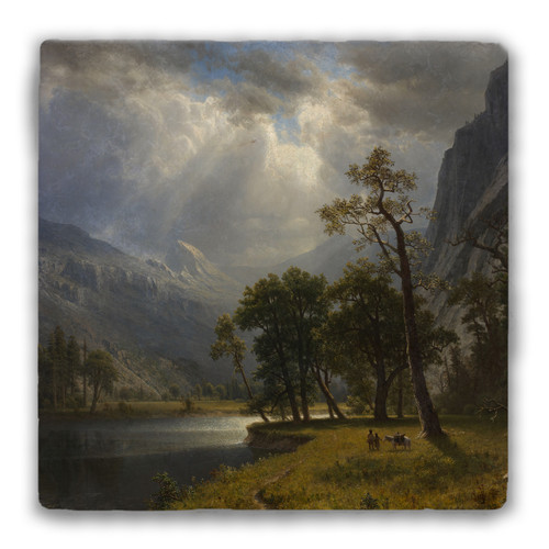 "Yosemite Valley" Tumbled Stone Coaster