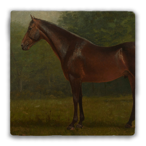 "Thoroughbred" Tumbled Stone Coaster