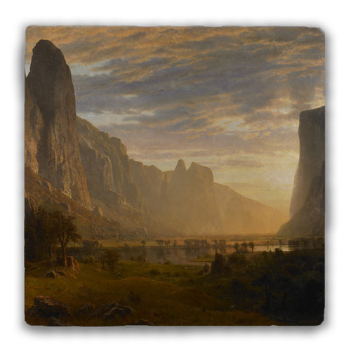 "Looking Down Yosemite Valley" Tumbled Stone Coaster