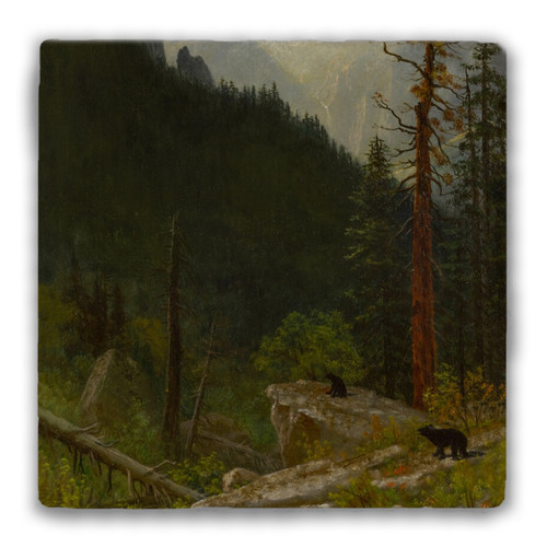 "Rockies After a Storm" Tumbled Stone Coaster