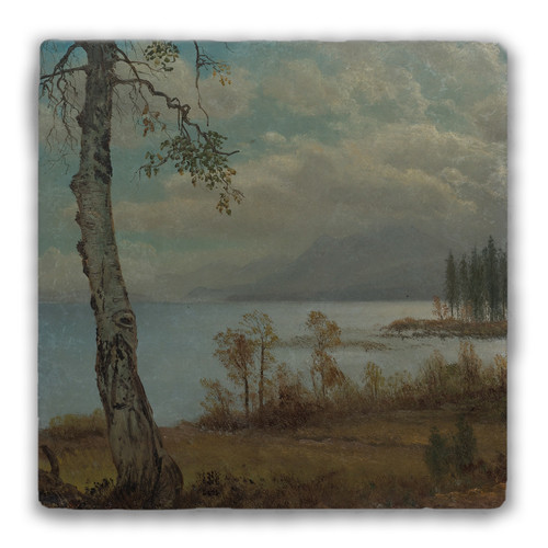 "Lake Tahoe 1" Tumbled Stone Coaster