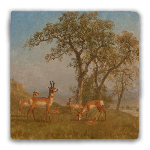 "Grazing Antelopes" Tumbled Stone Coaster