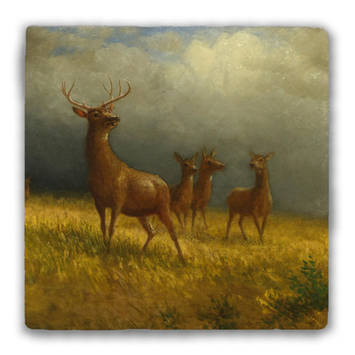 "Three Deer and a Stag" Tumbled Stone Coaster