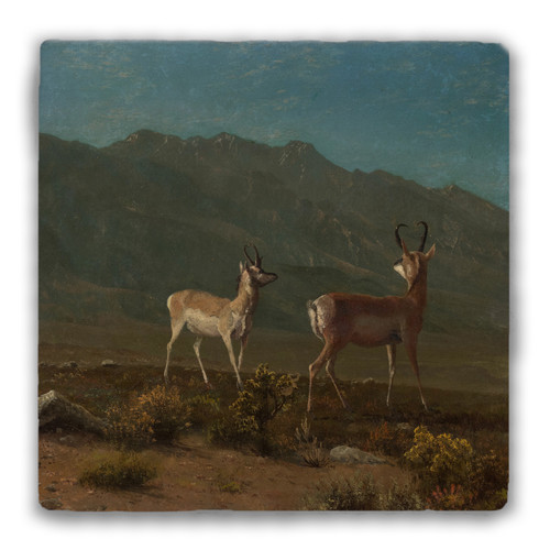 "Arizona Antelope" Tumbled Stone Coaster