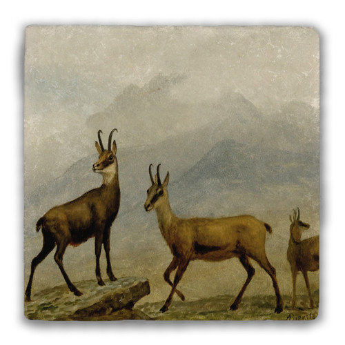 "Chamois" Tumbled Stone Coaster