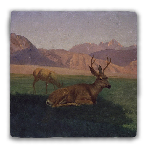 "Deer" Tumbled Stone Coaster