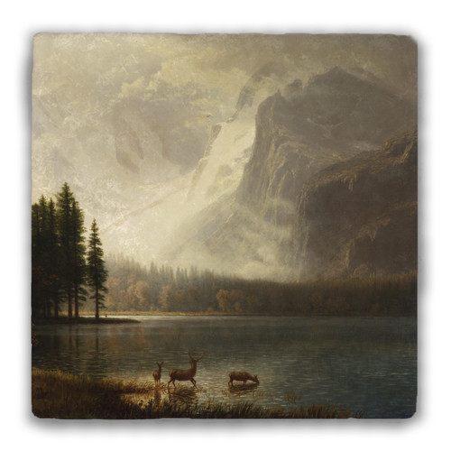 "Estes Park, Calorado" Tumbled Stone Coaster