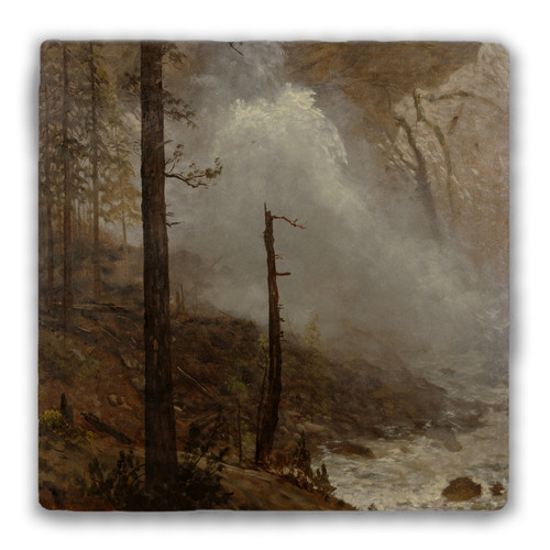 "Falls of Yosemite" Tumbled Stone Coaster