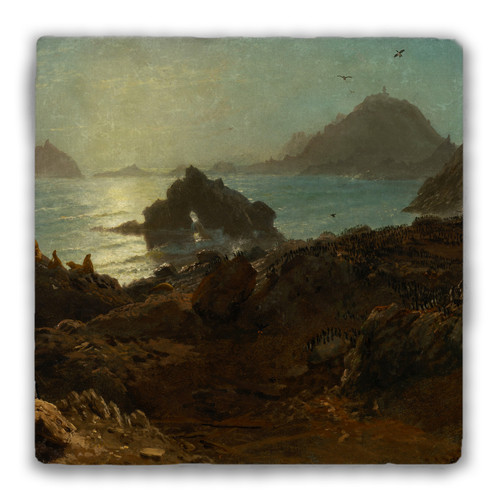 "Farallon Islands" Tumbled Stone Coaster