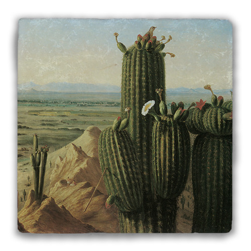 "View from Maricopa Mountain near the Rio Gila" Tumbled Stone Coaster