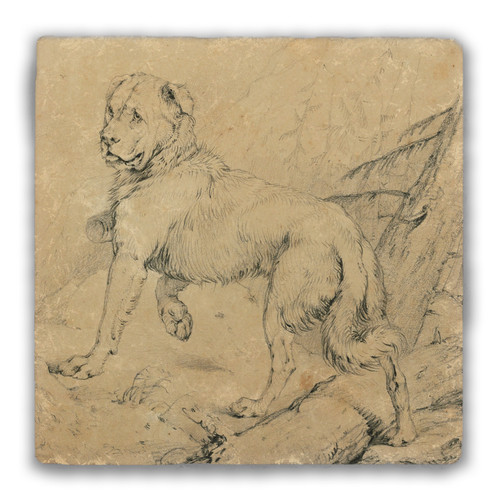 "Study for Alpine Mastiff" Tumbled Stone Coaster