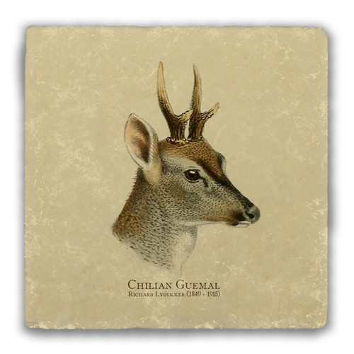 "Chilian Guemal" Tumbled Stone Coaster