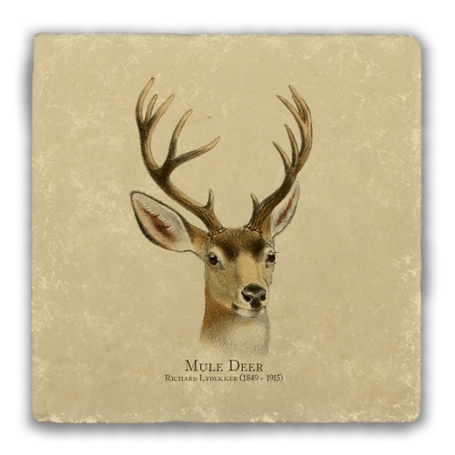 "Mule Deer" Tumbled Stone Coaster