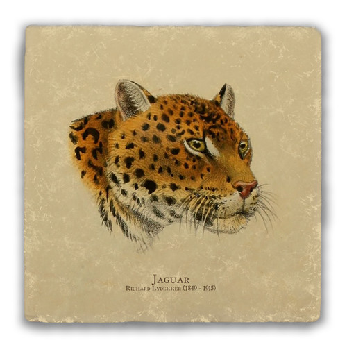 "Jaguar" Tumbled Stone Coaster