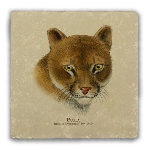 "Puma" Tumbled Stone Coaster