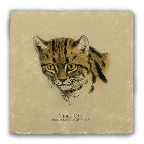 "Tiger-Cat" Tumbled Stone Coaster