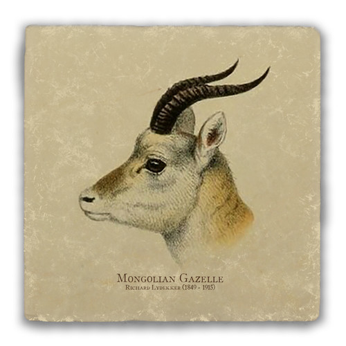 "Mongolian Gazelle" Tumbled Stone Coaster