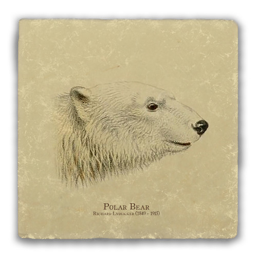 "Polar Bear" Tumbled Stone Coaster