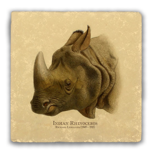 "Indian Rhinoceros" Tumbled Stone Coaster