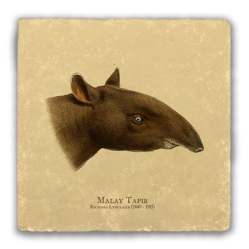 "Malay Tapir" Tumbled Stone Coaster