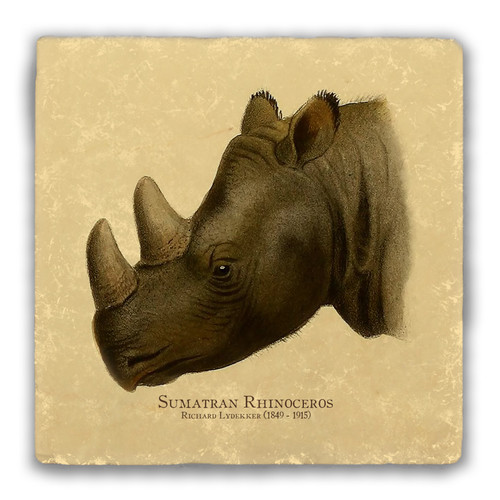 "Sumatran Rhinoceros" Tumbled Stone Coaster