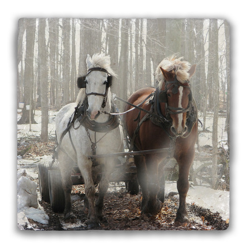 "Two Horses in the Snow" Tumbled Stone Coaster