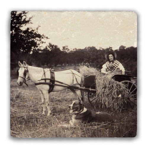 "Straw Cart" Tumbled Stone Coaster