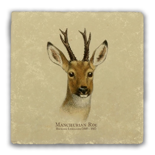 "Manchurian Roe" Tumbled Stone Coaster