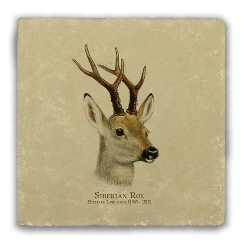 "Siberian Roe" Tumbled Stone Coaster